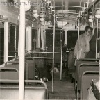 ARF 0033