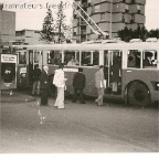 ARF 0036