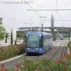 Montpellier_L1_07