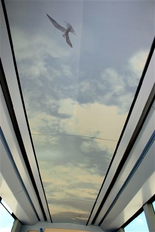 Loading Image