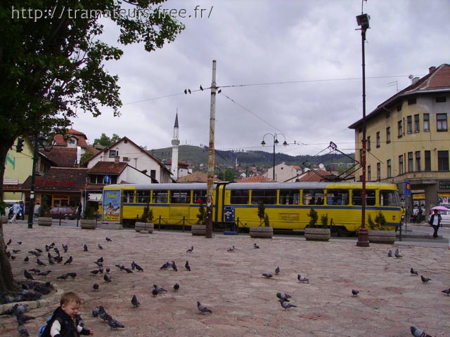 IMGP1858