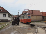 IMGA3472